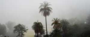 Mount-Abu-weather-in-June