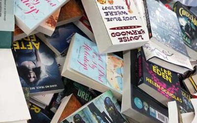 Penguin Book Fair – Delhi Edition
