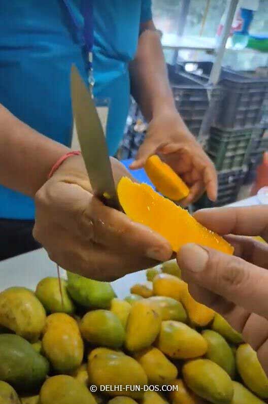 buy mangoes from mango mela
