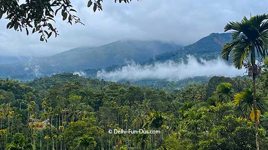 Wayanad Incredible Scenic Beauty