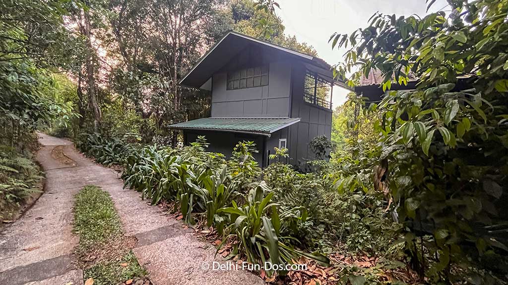 Luxury in the Wild: Wayanad Wild Resort Guide