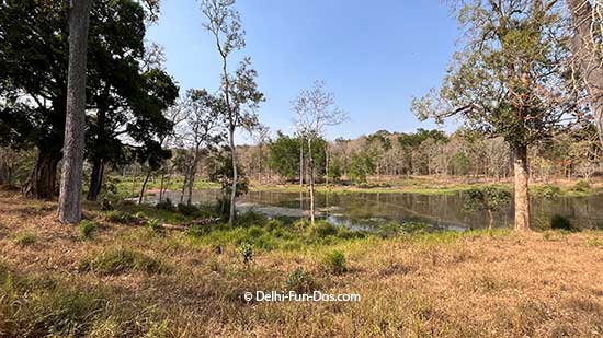 How To Plan A Wild Nagarhole Safari