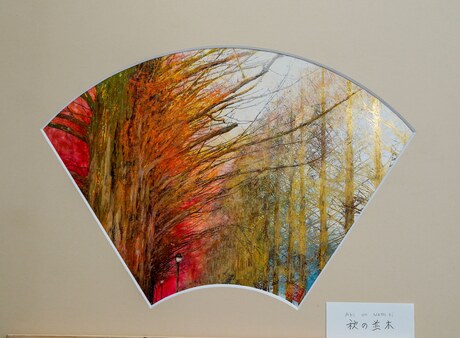 Earthsongs From Japan