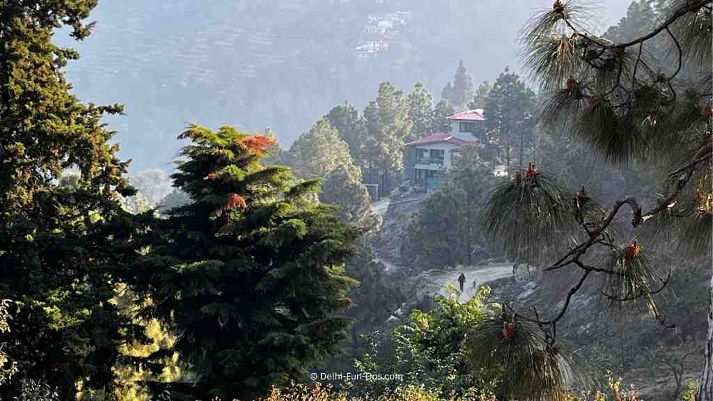 guldaar-basera-homestay-in-ranikhet-uttarakhand