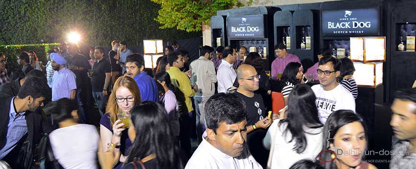 black-dog-easy-evenings-club-patio-delhifundos-parties-in-Gurgaon